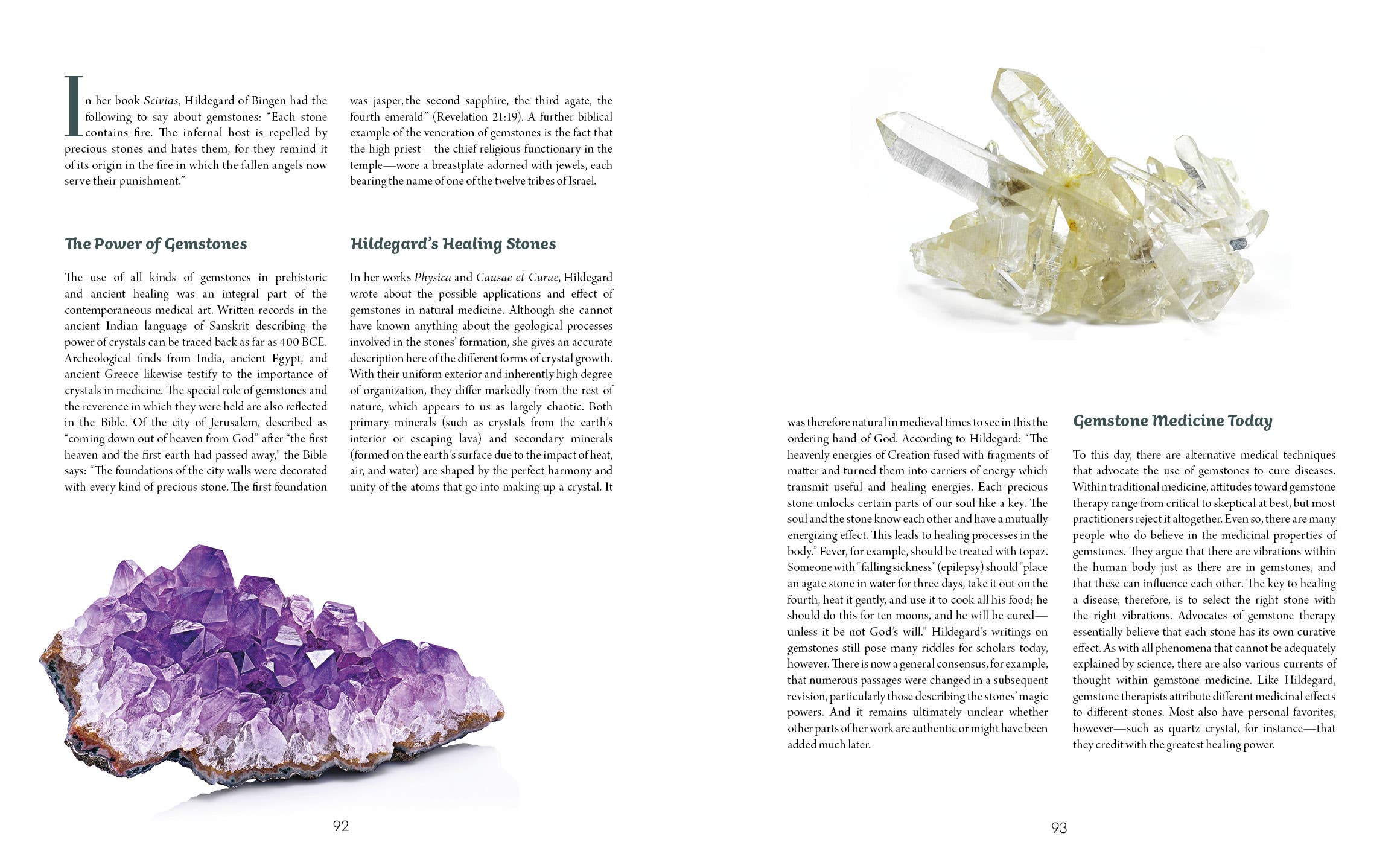 Saint Hildegard’s Guide to Wellness - Holger Vornholt