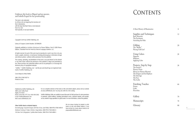 Beginning Illumination - Claire Travers