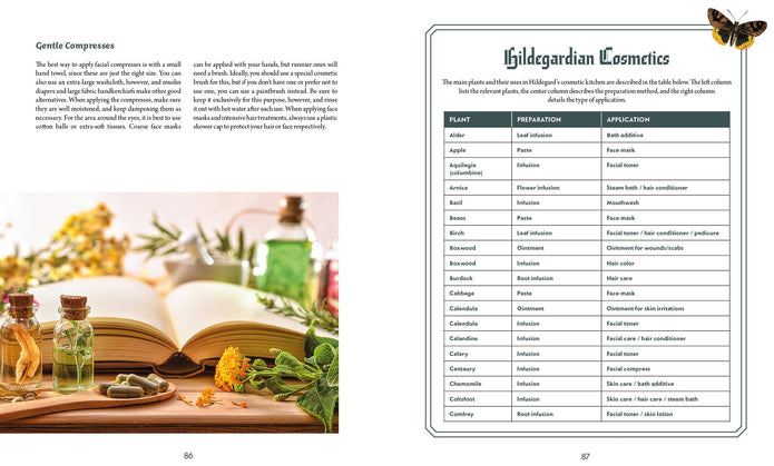 Saint Hildegard’s Guide to Wellness - Holger Vornholt