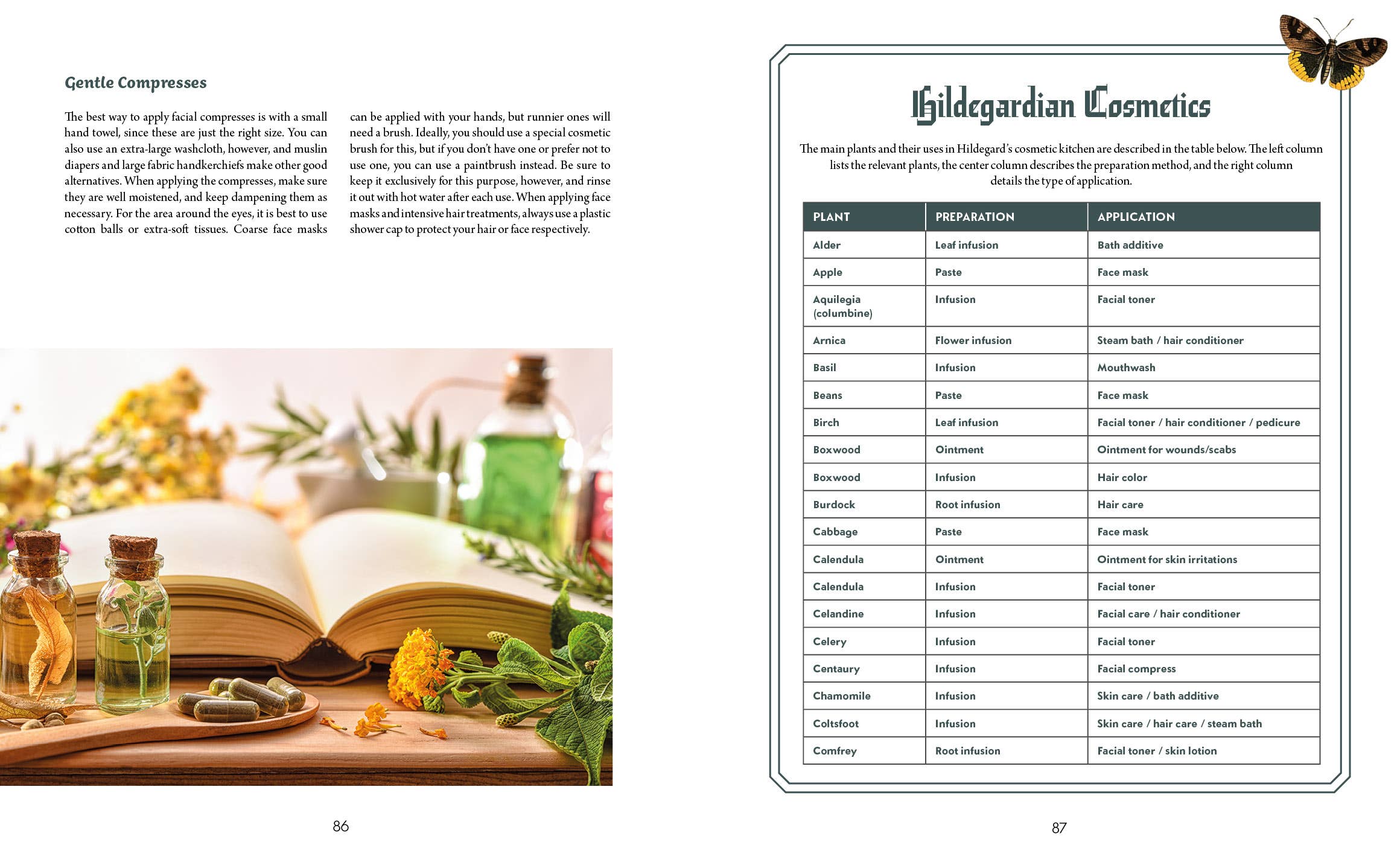 Saint Hildegard’s Guide to Wellness - Holger Vornholt