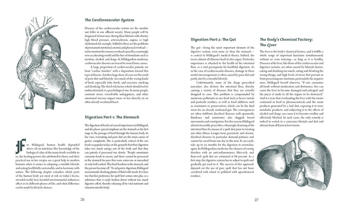 Saint Hildegard’s Guide to Wellness - Holger Vornholt